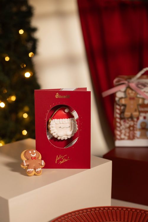 Postcard Papai Noel - 25G