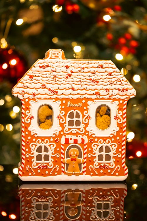 Lata Casinha Gingerman 170G