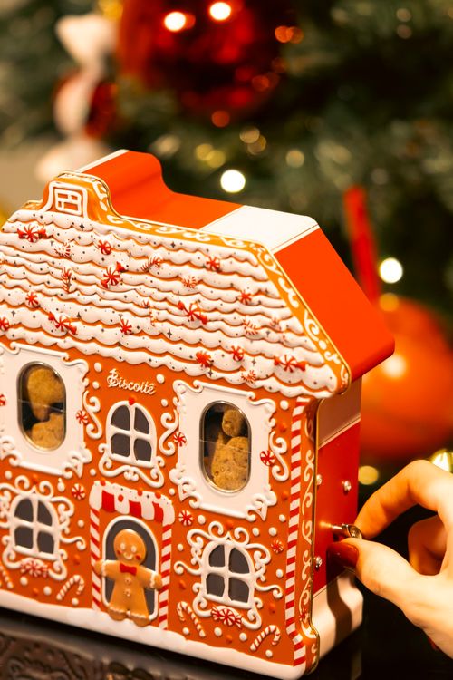 Lata Casinha Gingerman 170G