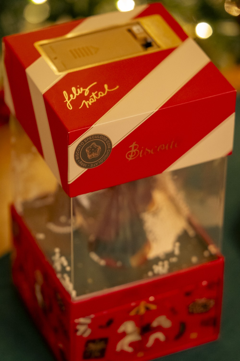 Caixa Floresta Mágica - 100g 4