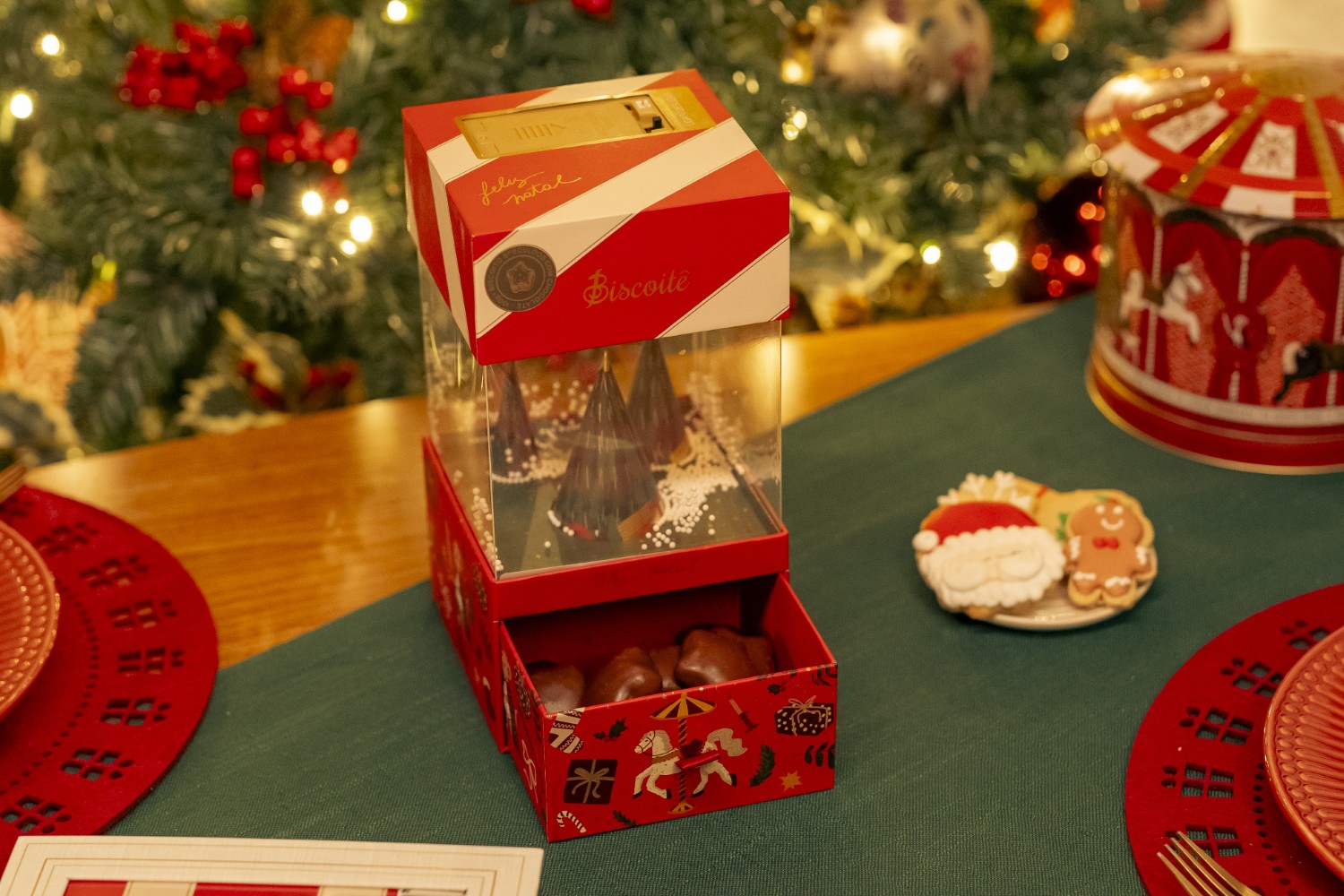 Caixa Floresta Mágica - 100g 1